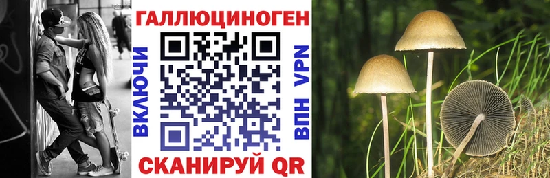 Псилоцибиновые грибы Magic Shrooms  Новохопёрск 